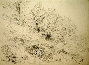 Walesi táj (kréta papíron) alkotó: David Cox