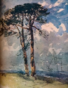 Scot Firs, 1805