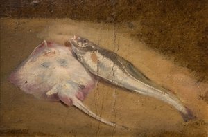 Tanulmány a halakról – rája és tőkehal, 1842.