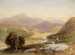 Ffestiniog völgye, Merionethshire, 19. század