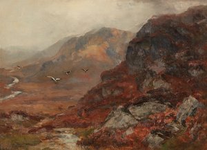 Highland Hills (olaj, vászon)