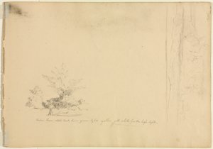 Táj- és fatanulmányok verso, c. 1851. alkotó: David Johnson