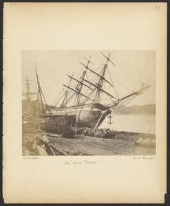 A "Jane Tudor" alkotó: David Johnson