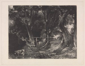 Egy Dell, Helmingham Park, Suffolk alkotó: David Lucas