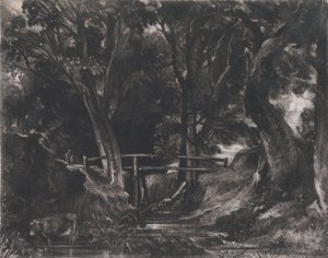 A Dell, Helmingham Park, Suffolk, 1830. alkotó: David Lucas