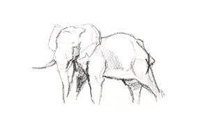 Bull Elephant, 2021 (kréta papíron) alkotó: David Mayer