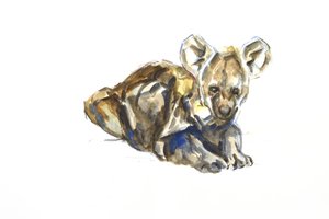 Hiéna kölyökkutya, 2020 (akvarell, zsírkréta és gouache papíron)