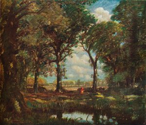 Egy erdei medence, 1905