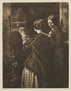 A madárkalitka alkotó: David Octavius Hill