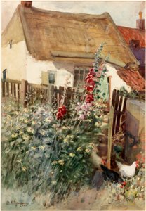 A kert (ceruza és akvarell a fedélzeten) alkotó: David T. Robertson