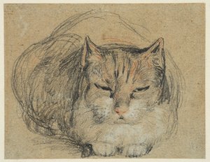 Macska, tanulmány a „Vágott ujjhoz” (recto), 1809 körül (fekete, vörös-fehér kréta, fekete-fehér kréta fektetett papíron) alkotó: David Wilkie