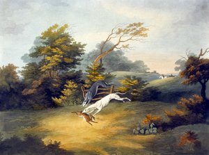 Coursing, 4. tábla, R.G. metszet. Várnagy