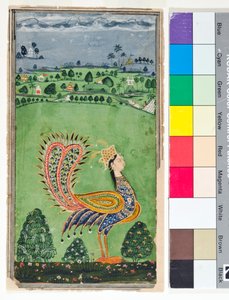 Mitikus páva női fejjel, 1750 körül (átlátszatlan w/c és arany a papíron)