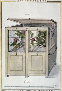 Konténer hasznos és érdekes fák szállítására, Delahaye akvarellje, Florindie ou Histoire physico-economique des vegetaux de la Torride (Trópusi növények fizikai-gazdasági története) alapján alkotó: Delahaye Delahaye