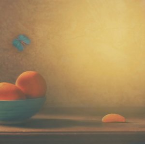 Citrusos tál és pillangó alkotó: Delphine Devos