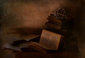 „Dark Academia” témájú könyvek alkotó: Delphine Devos