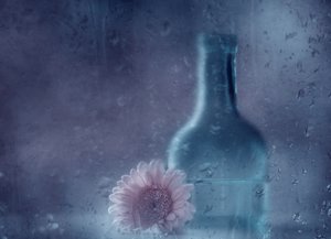 Álomszerű, esős gerbera alkotó: Delphine Devos