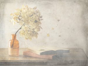 Kifakult őszi csendélet alkotó: Delphine Devos