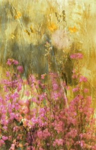 A Golden Meadow-i pillangók alkotó: Delphine Devos