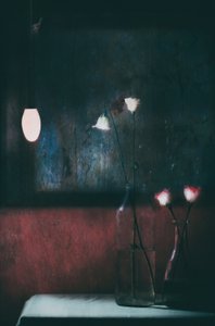 Moody virágok – csendélet