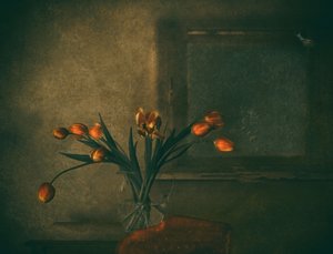 Hangulatos narancssárga tulipánok alkotó: Delphine Devos