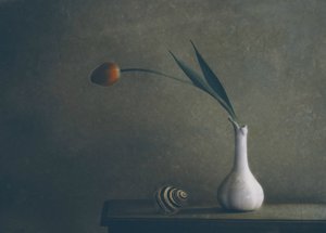 Hangulatos tulipáncsendélet alkotó: Delphine Devos