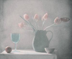 Pasztell tulipánok csendélet alkotó: Delphine Devos
