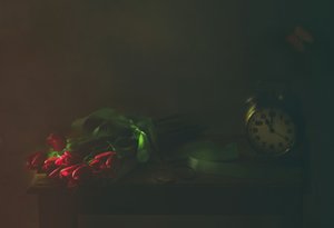 Vörös tulipánok és az idő alkotó: Delphine Devos