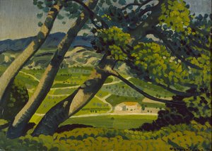 Fák, Provence, 1912