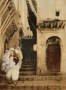 A tevék utcája, Algír, 1899 körül (photochrom) alkotó: Detroit Publishing Co.