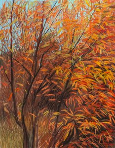 Red Willow 1a, 2021 (pasztell, papír)