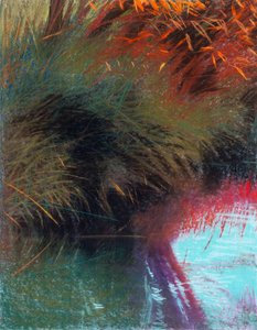 Red Willow 1b, 2021 (pasztell, papír)