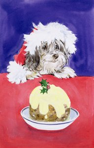 A karácsonyi puding alkotó: Diane Matthes