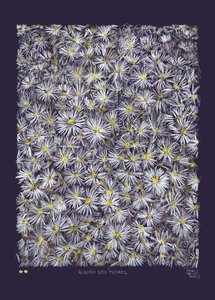  alkotó: Diego Beyro