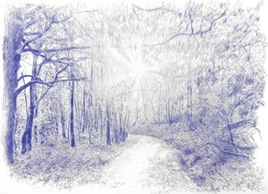  alkotó: Diego Beyro