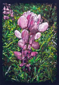  alkotó: Diego Beyro