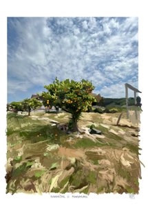  alkotó: Diego Beyro