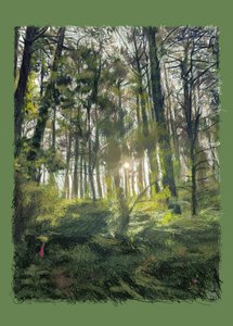  alkotó: Diego Beyro