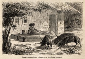 Valaque sertések ily módon immobilizált előtereinek akadályai, Romániában. Metszet a Párizsból Bukarestbe tartó utazás szemléltetésére, Lancelot rajzoló 1860-ban, megjelent a „Le tour du monde, nouveau Journal des voyages” irányítása alatt. alkotó: Dieudonne Auguste Lancelot