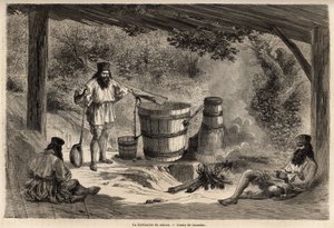 Romániában nagyon elterjedt rakiou, gabonaalkohol, pálinka gyártása. A Párizsból Bukarestbe tartó utazást illusztráló metszet, Lancelot rajzoló 1860-ban, a „Le tour du monde, nouveau Journal des voyages” című folyóiratban jelent meg a direktíva alatt.