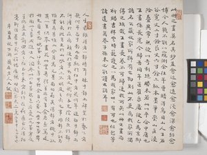 Tájfestmények albuma (tintával papíron) alkotó: Ding Yunpeng