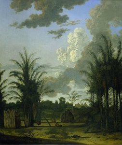 Ültetvény Suriname-ban