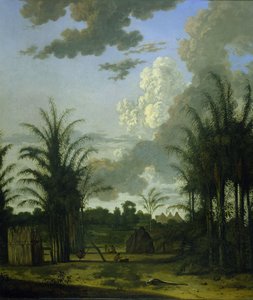 Ültetvény Suriname-ban