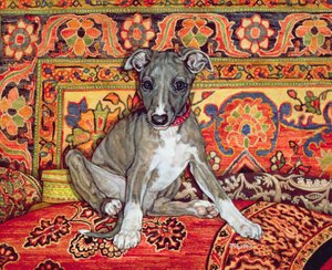 My Whippet Baby, 1994 alkotó: Ditz