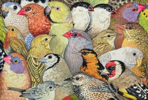Patchwork-Birds, 1995 (akril a panelen) alkotó: Ditz