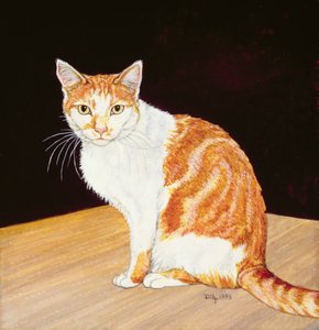 Tamás alkotó: Ditz