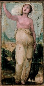 Női alak. Domenico Beccafumi (1486-1551) festménye. Siena, Konzervatórium alkotó: Domenico Beccafumi