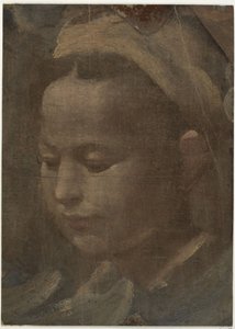 Egy fiatal nő feje alkotó: Domenico Beccafumi