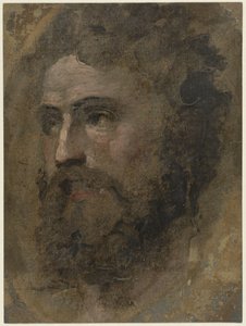 Göndör hajú férfi feje, balra alkotó: Domenico Beccafumi