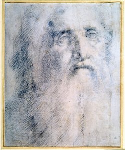 „Tanulmány egy szakállas öregember fejéről”, 1535 alkotó: Domenico Beccafumi
